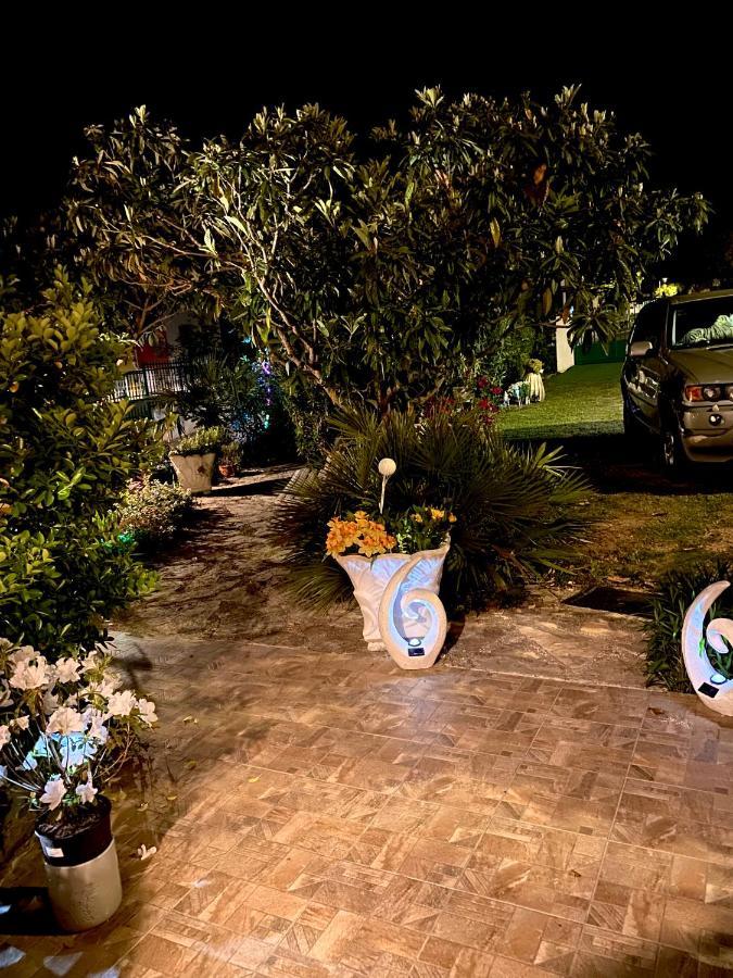 Casa Erceg Amor Vincit Omnia Skradin Buitenkant foto
