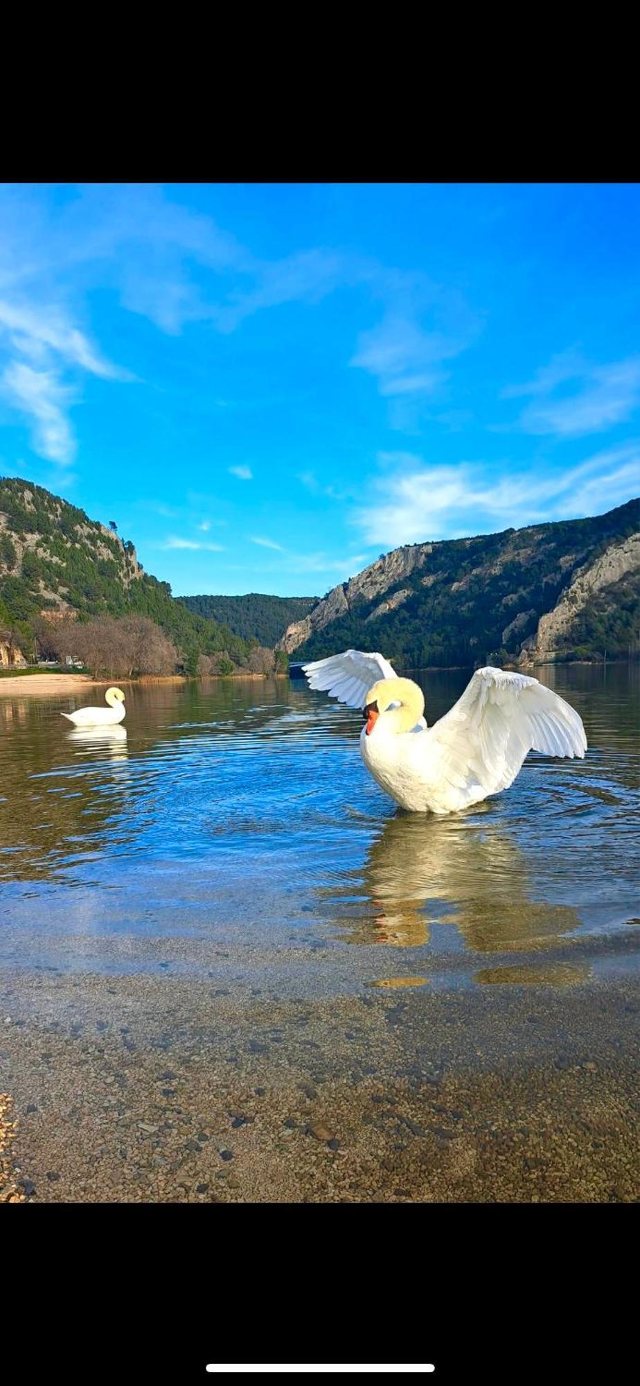 Casa Erceg Amor Vincit Omnia Skradin Buitenkant foto