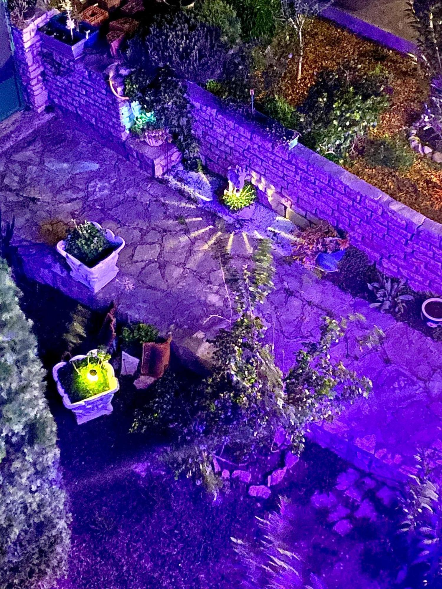 Casa Erceg Amor Vincit Omnia Skradin Buitenkant foto